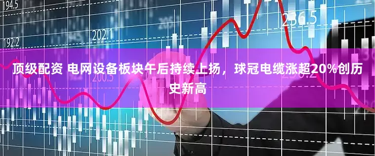 顶级配资 电网设备板块午后持续上扬，球冠电缆涨超20%创历史新高