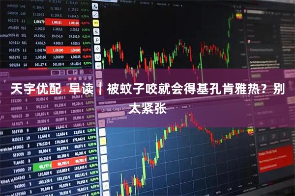 天宇优配  早读｜被蚊子咬就会得基孔肯雅热？别太紧张