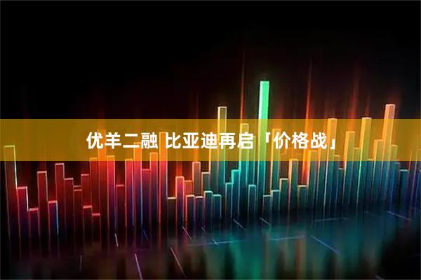 优羊二融 比亚迪再启「价格战」