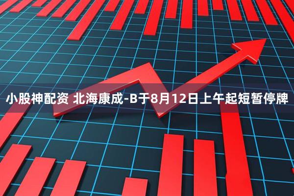 小股神配资 北海康成-B于8月12日上午起短暂停牌