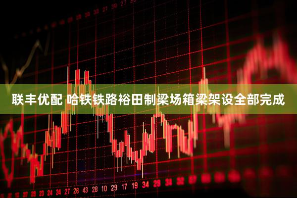 联丰优配 哈铁铁路裕田制梁场箱梁架设全部完成