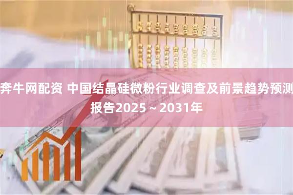 奔牛网配资 中国结晶硅微粉行业调查及前景趋势预测报告2025～2031年