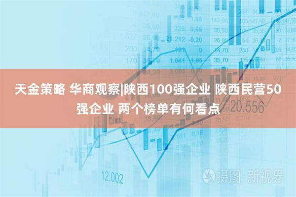 天金策略 华商观察|陕西100强企业 陕西民营50强企业 两个榜单有何看点